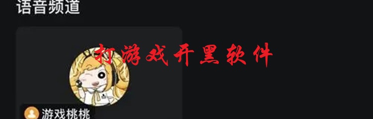 打游戏开黑软件