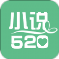 小说520