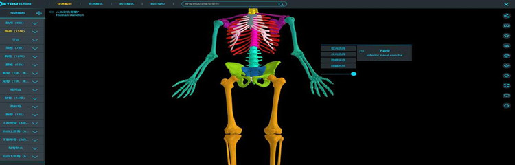 3d人体解剖图软件大全