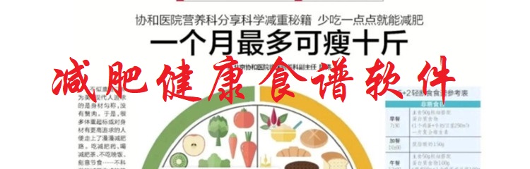 减肥健康食谱软件