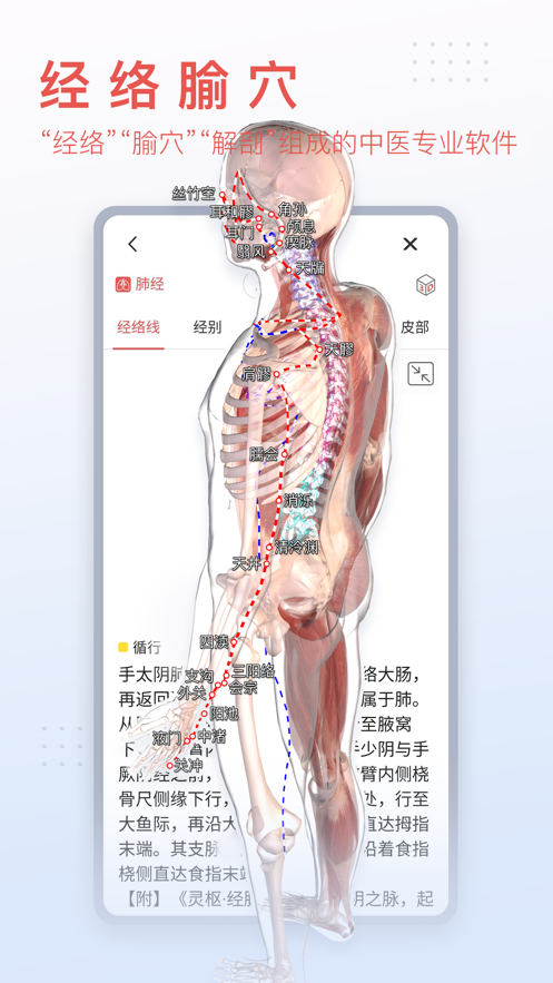 3Dbody解剖图