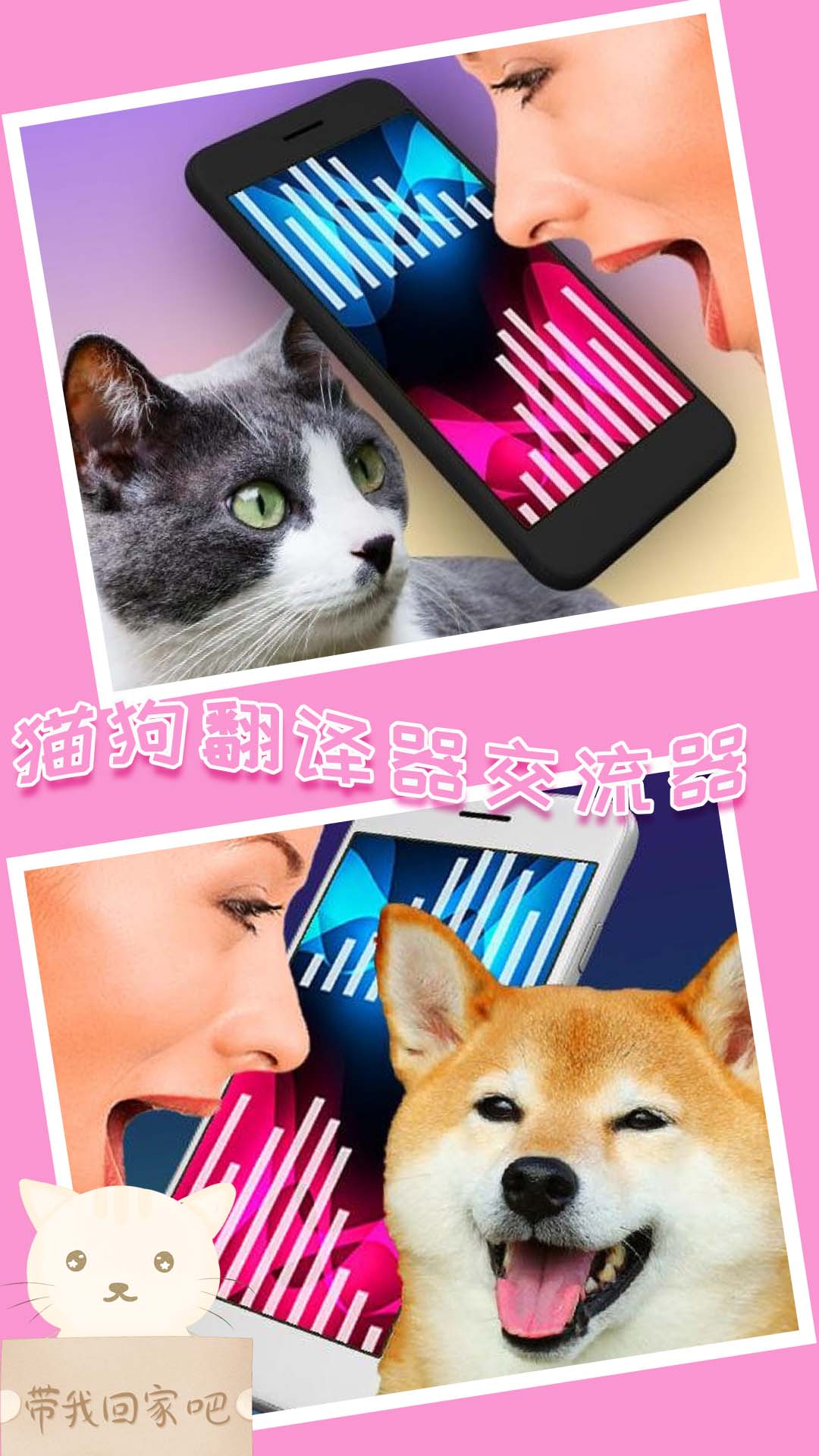 我的猫狗世界翻译