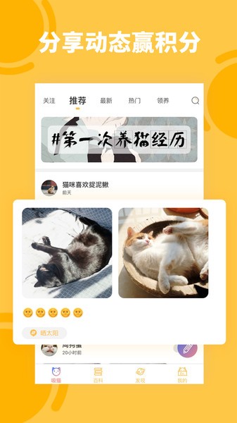 萌翻猫语翻译器