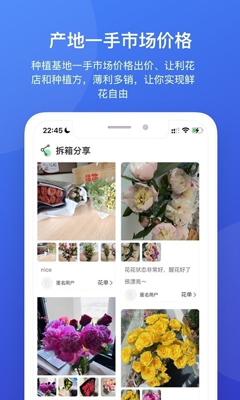 云选鲜花批发