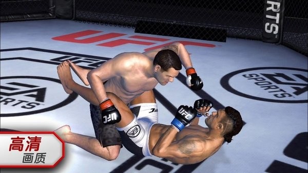 终极格斗冠军赛(UFC Mobile 2)