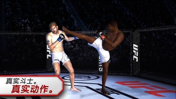 终极格斗冠军赛(UFC Mobile 2)