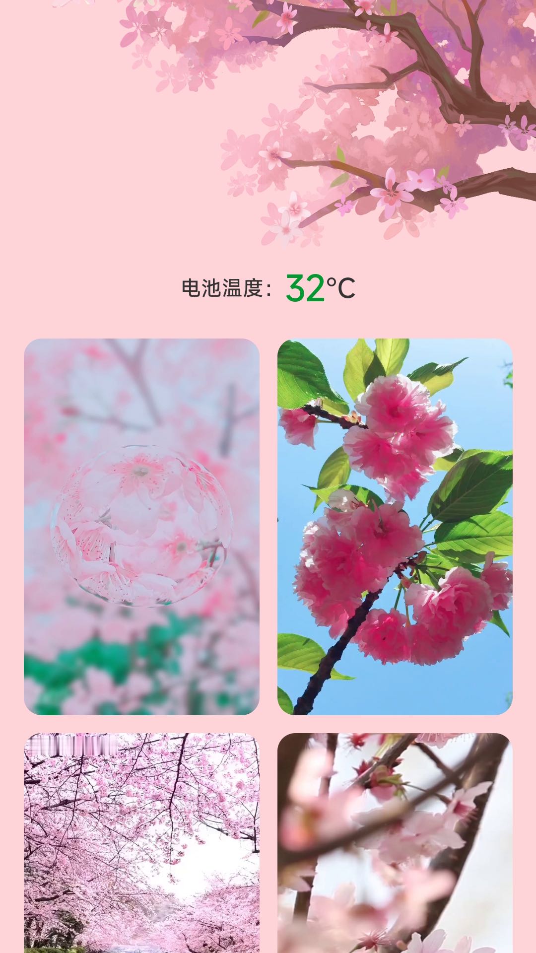 樱花充电